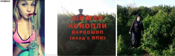 спайс Богородск