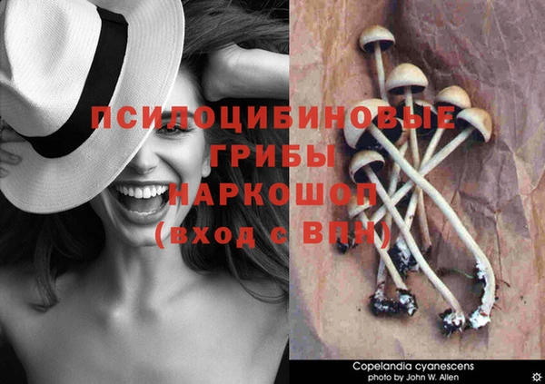 спайс Богородск