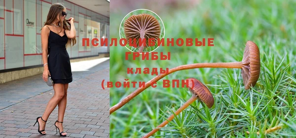 спайс Богородск